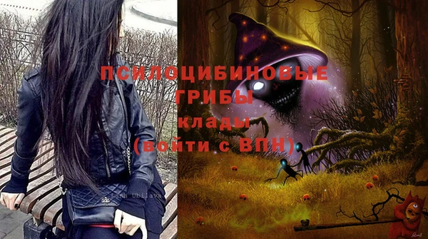 гидра Кукмор