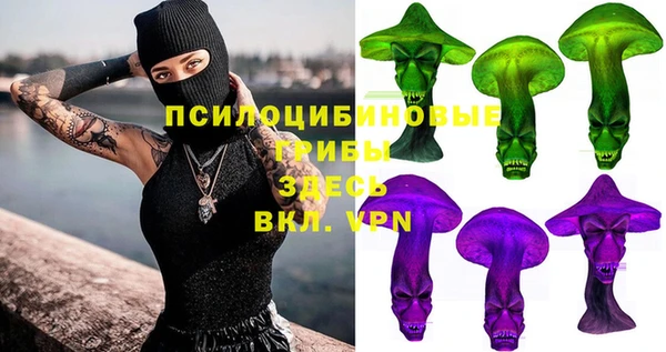 гидра Кукмор