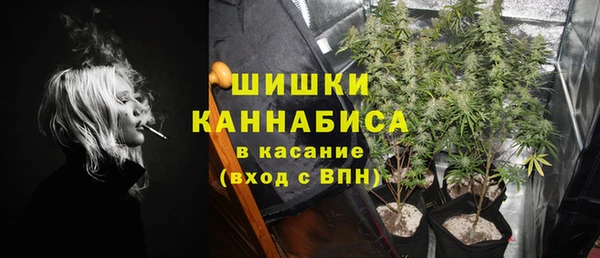мдпв Кулебаки