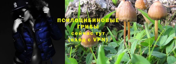 мдпв Кулебаки