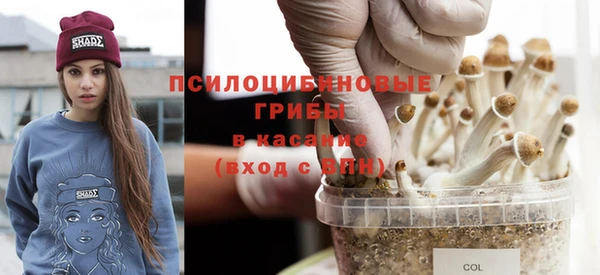 мдпв Кулебаки