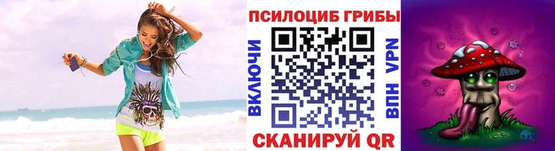 Галлюциногенные грибы GOLDEN TEACHER  Купить  Анадырь 